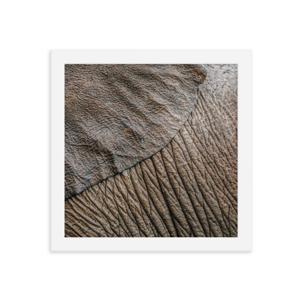 enhanced-matte-paper-framed-poster-(in)-white-10x10-transparent-65c0f361a160f.jpg