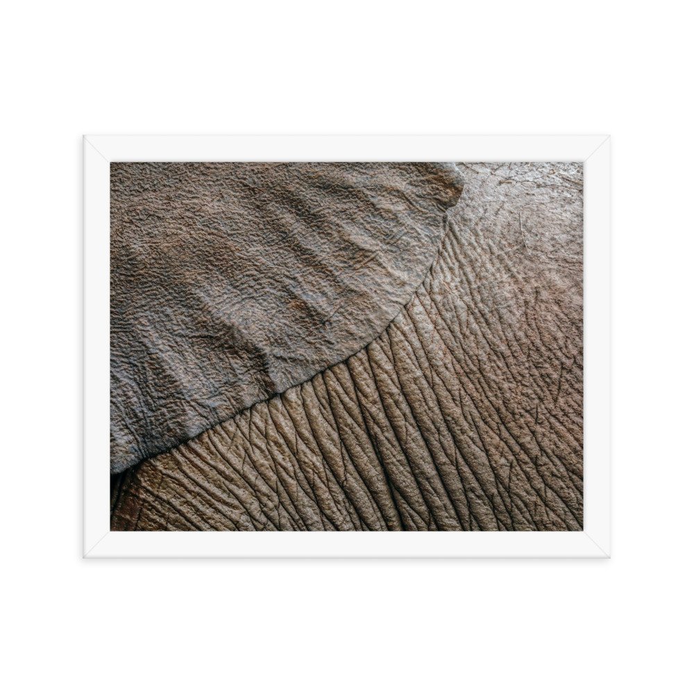 enhanced-matte-paper-framed-poster-(in)-white-11x14-transparent-65c0f361a176c.jpg