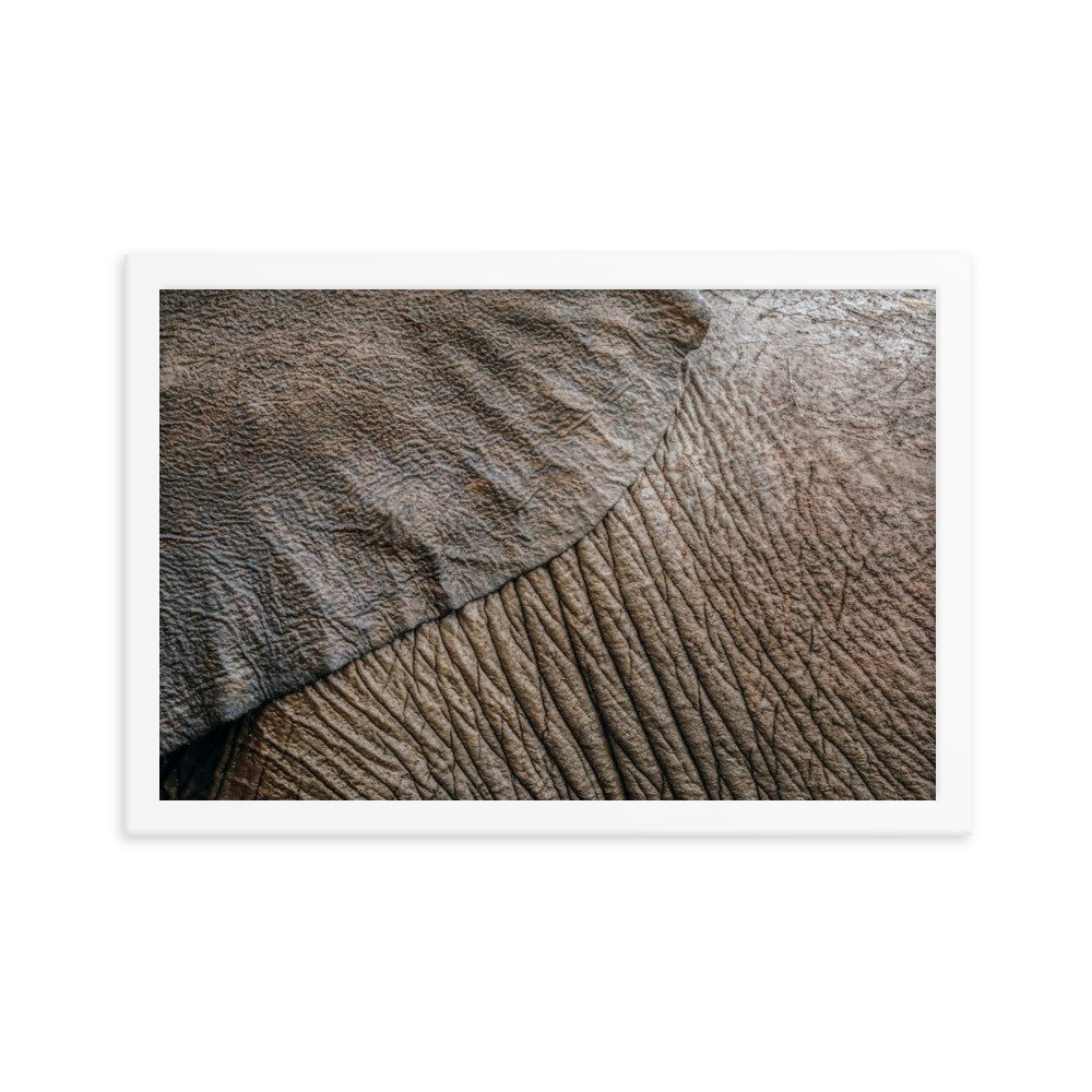 enhanced-matte-paper-framed-poster-(in)-white-12x18-transparent-65c0f361a18c3.jpg