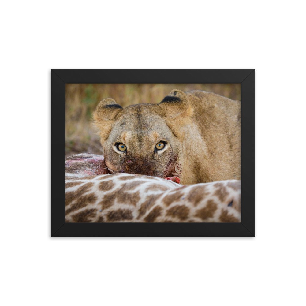 enhanced-matte-paper-framed-poster-(in)-black-8x10-transparent-65c0f37c65830.jpg