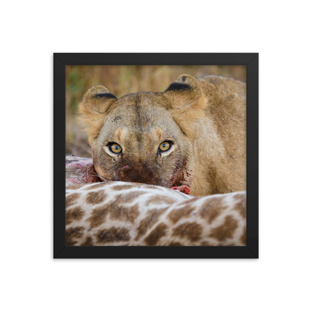 enhanced-matte-paper-framed-poster-(in)-black-12x12-transparent-65c0f37c659cd.jpg