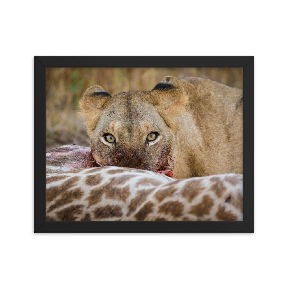enhanced-matte-paper-framed-poster-(in)-black-11x14-transparent-65c0f37c65a89.jpg