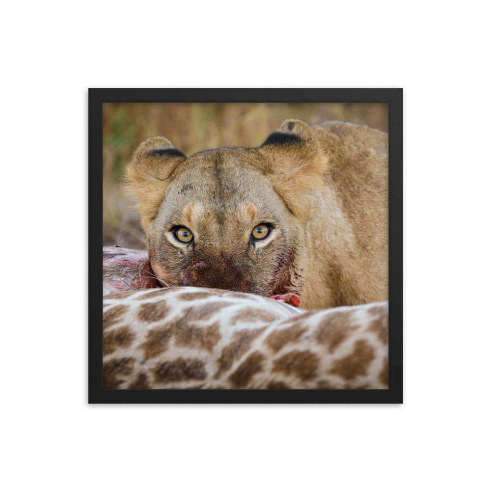 enhanced-matte-paper-framed-poster-(in)-black-16x16-transparent-65c0f37c65d3d.jpg