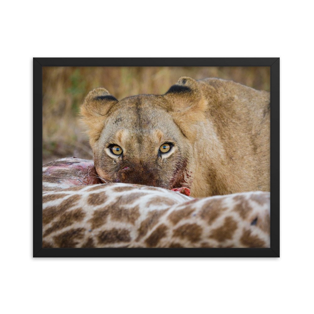 enhanced-matte-paper-framed-poster-(in)-black-16x20-transparent-65c0f37c65dec.jpg