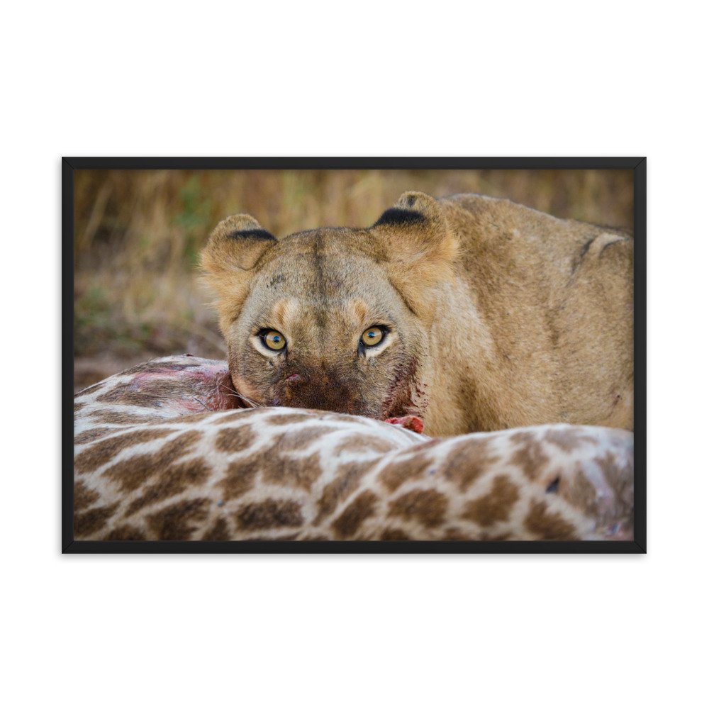 enhanced-matte-paper-framed-poster-(in)-black-24x36-transparent-65c0f37c65f9a.jpg