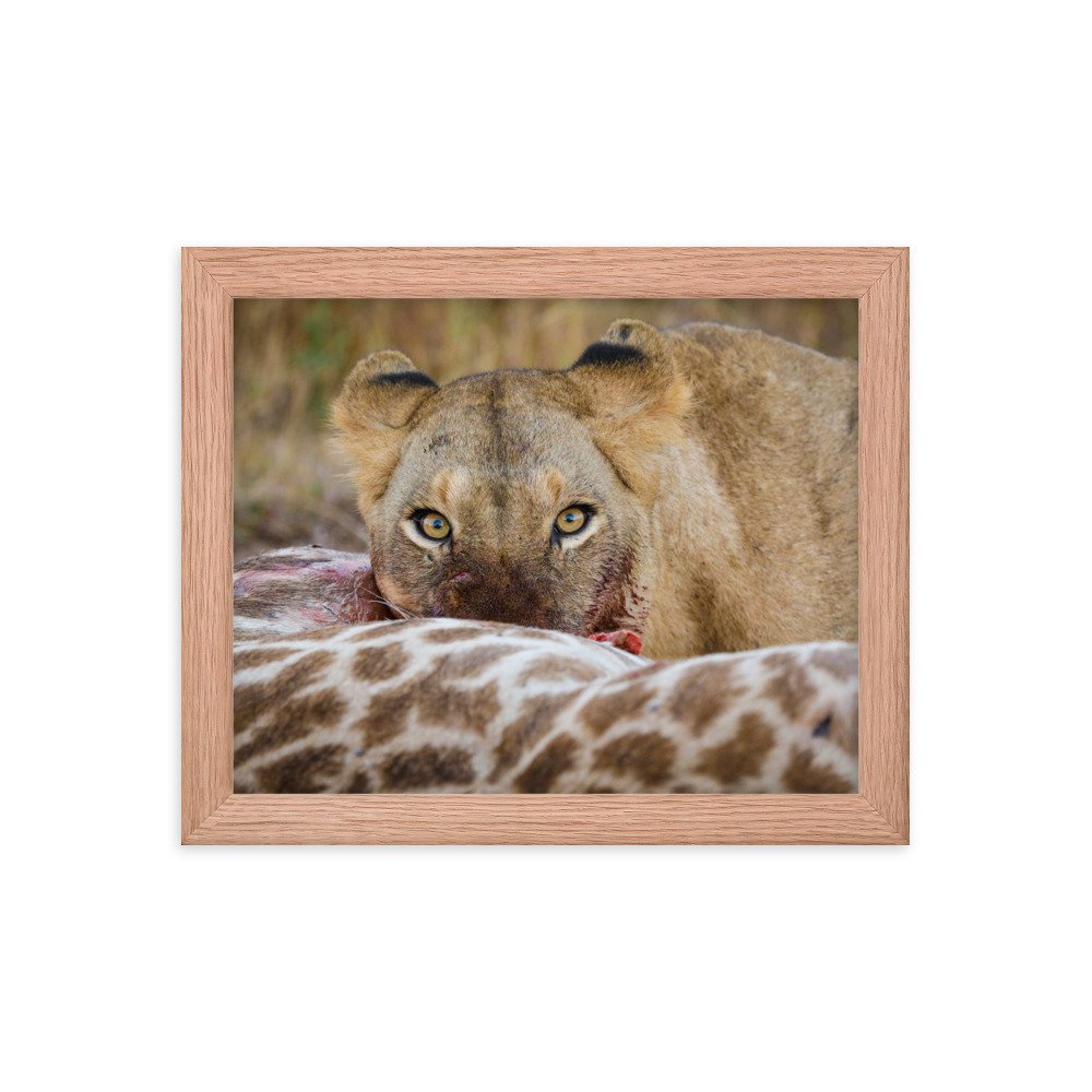 enhanced-matte-paper-framed-poster-(in)-red-oak-8x10-transparent-65c0f37c6604d.jpg