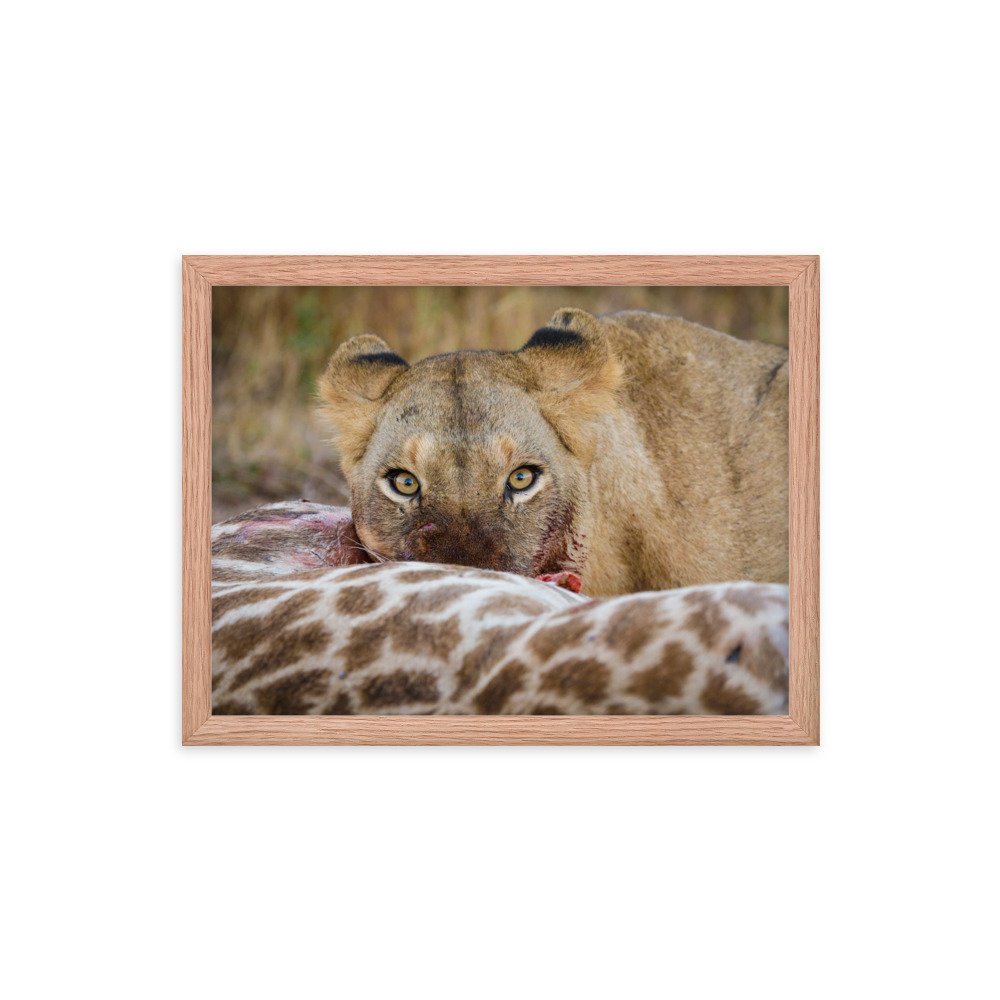 enhanced-matte-paper-framed-poster-(in)-red-oak-12x16-transparent-65c0f37c662ed.jpg