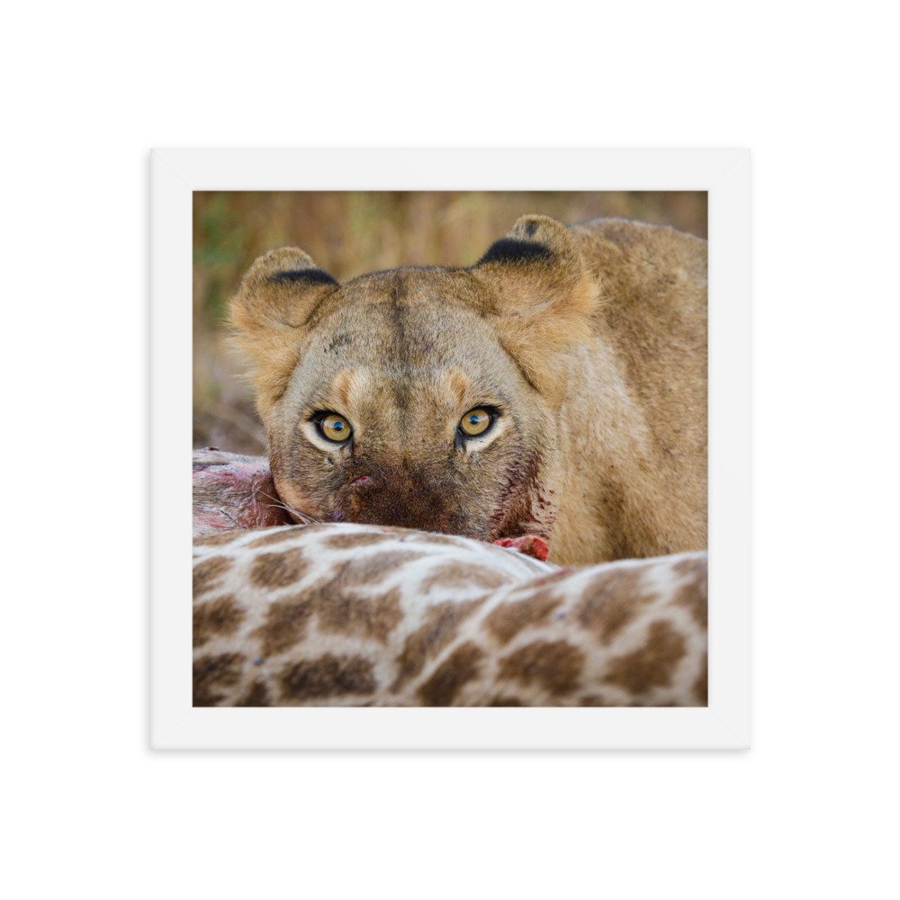 enhanced-matte-paper-framed-poster-(in)-white-10x10-transparent-65c0f37c668ef.jpg