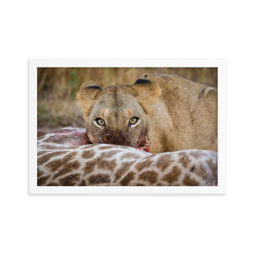 enhanced-matte-paper-framed-poster-(in)-white-12x18-transparent-65c0f37c66bb9.jpg