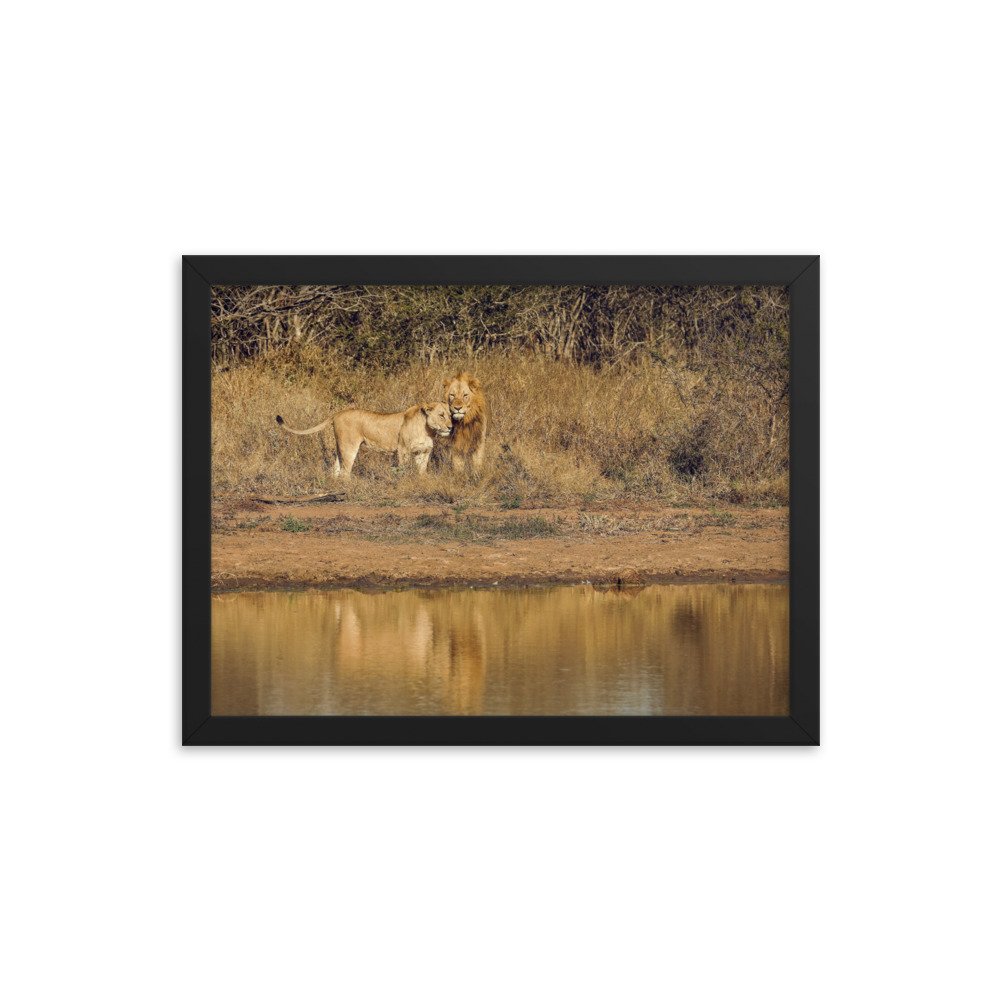 enhanced-matte-paper-framed-poster-(in)-black-12x16-transparent-65c0f38c7be1d.jpg