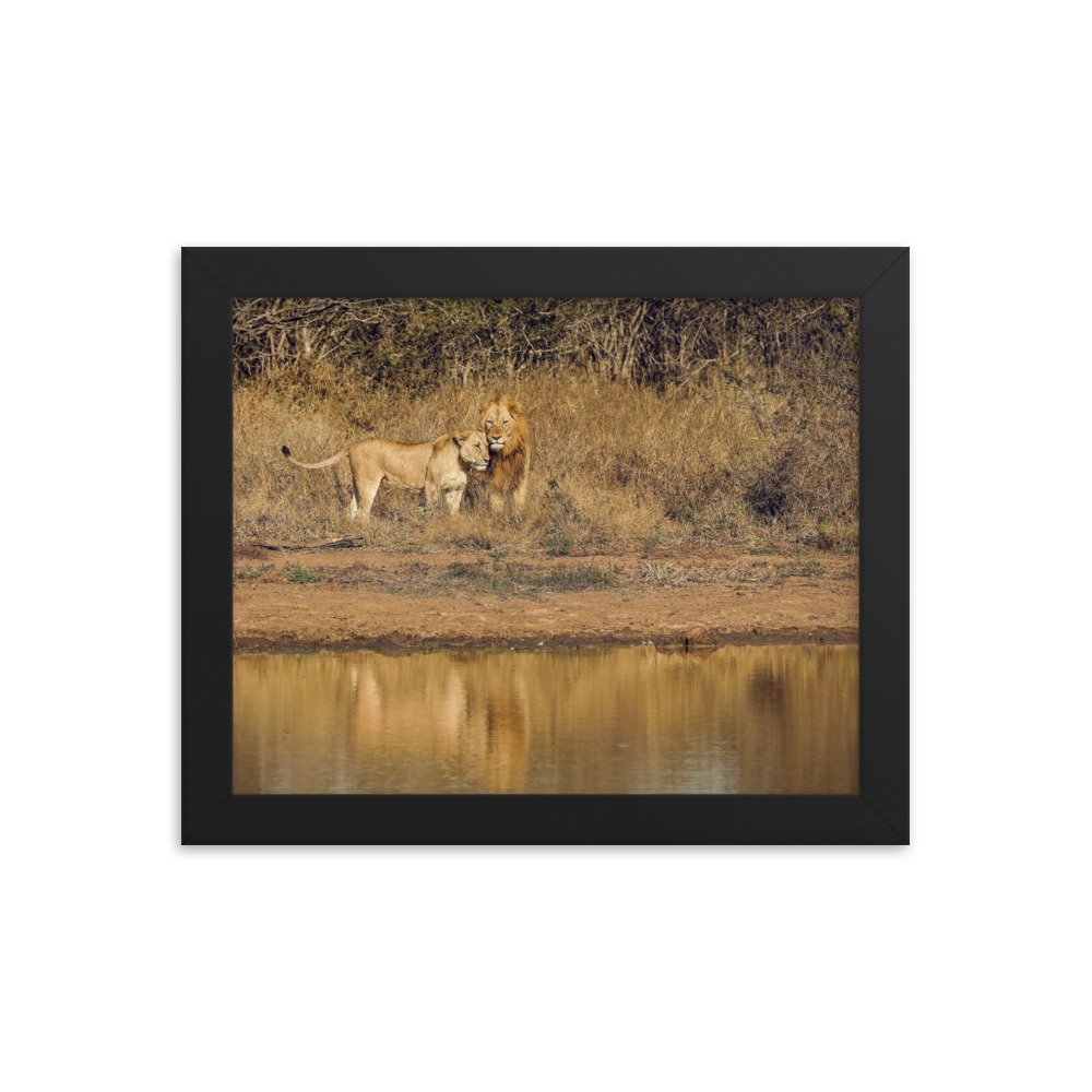 enhanced-matte-paper-framed-poster-(in)-black-8x10-transparent-65c0f38c7d0e0.jpg