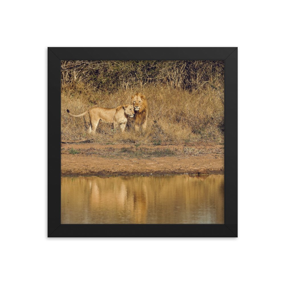 enhanced-matte-paper-framed-poster-(in)-black-10x10-transparent-65c0f38c7d19a.jpg