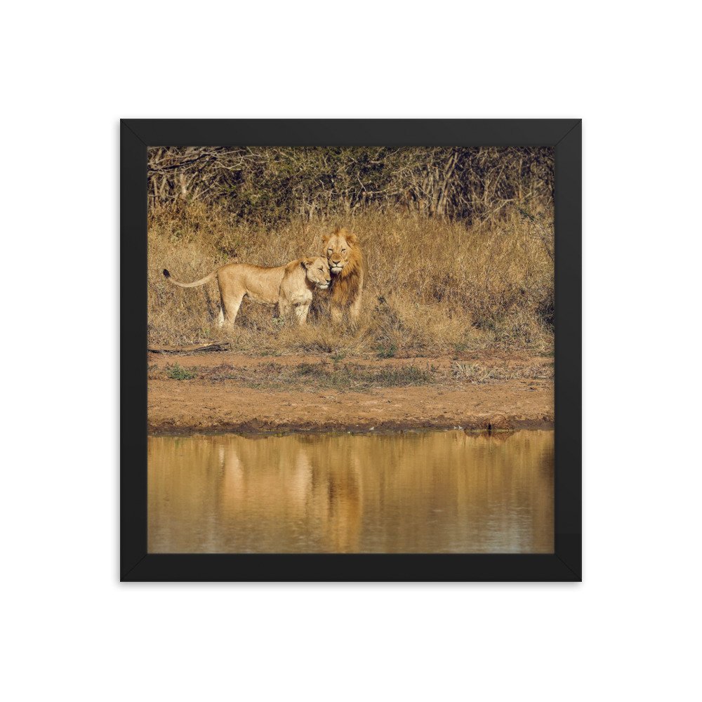 enhanced-matte-paper-framed-poster-(in)-black-12x12-transparent-65c0f38c7d20c.jpg