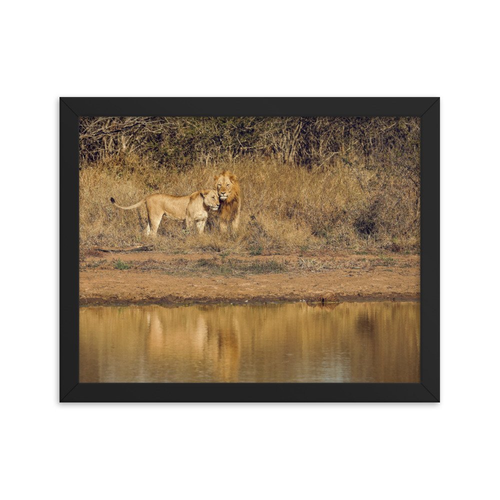 enhanced-matte-paper-framed-poster-(in)-black-11x14-transparent-65c0f38c7d292.jpg