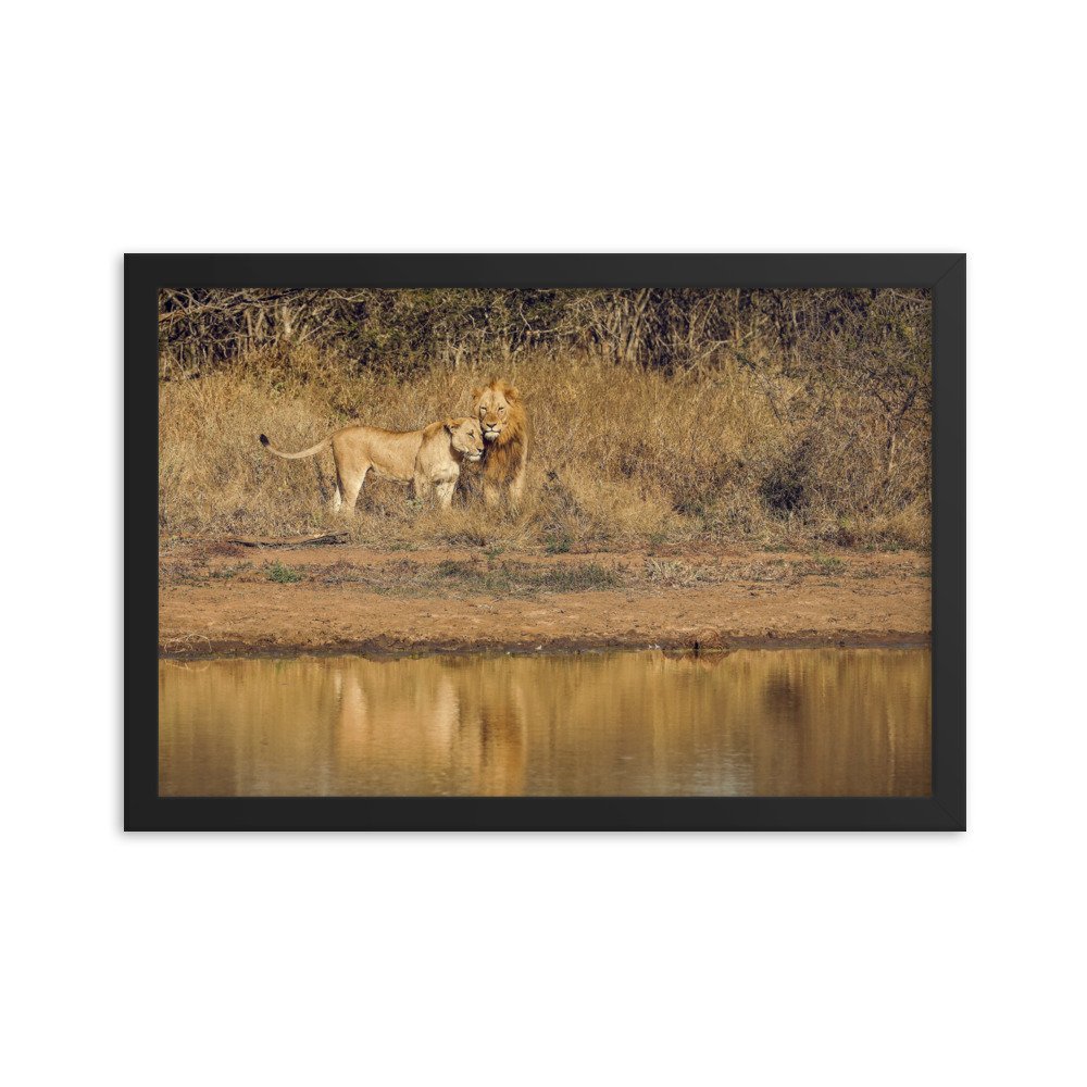 enhanced-matte-paper-framed-poster-(in)-black-12x18-transparent-65c0f38c7d365.jpg
