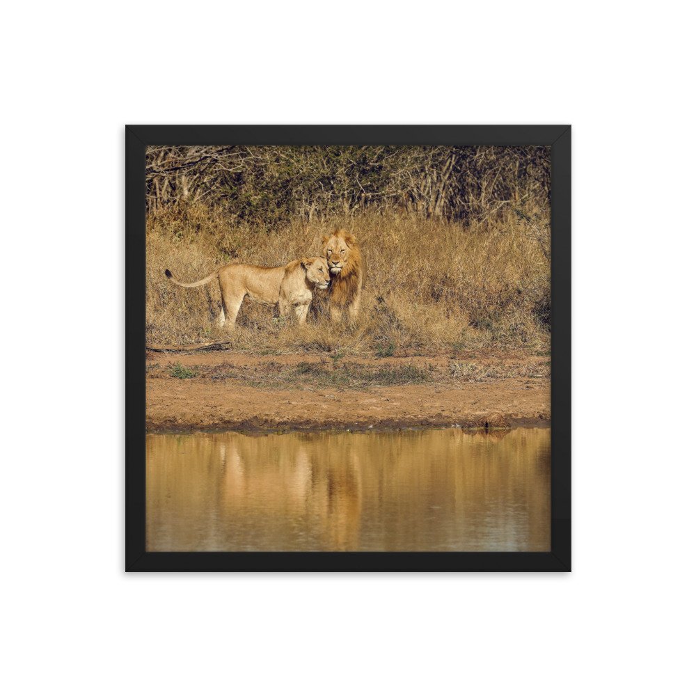 enhanced-matte-paper-framed-poster-(in)-black-16x16-transparent-65c0f38c7d437.jpg