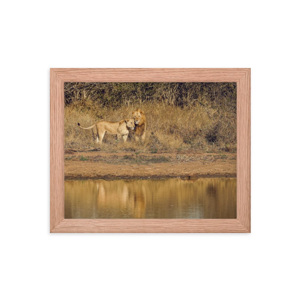 enhanced-matte-paper-framed-poster-(in)-red-oak-8x10-transparent-65c0f38c7d534.jpg
