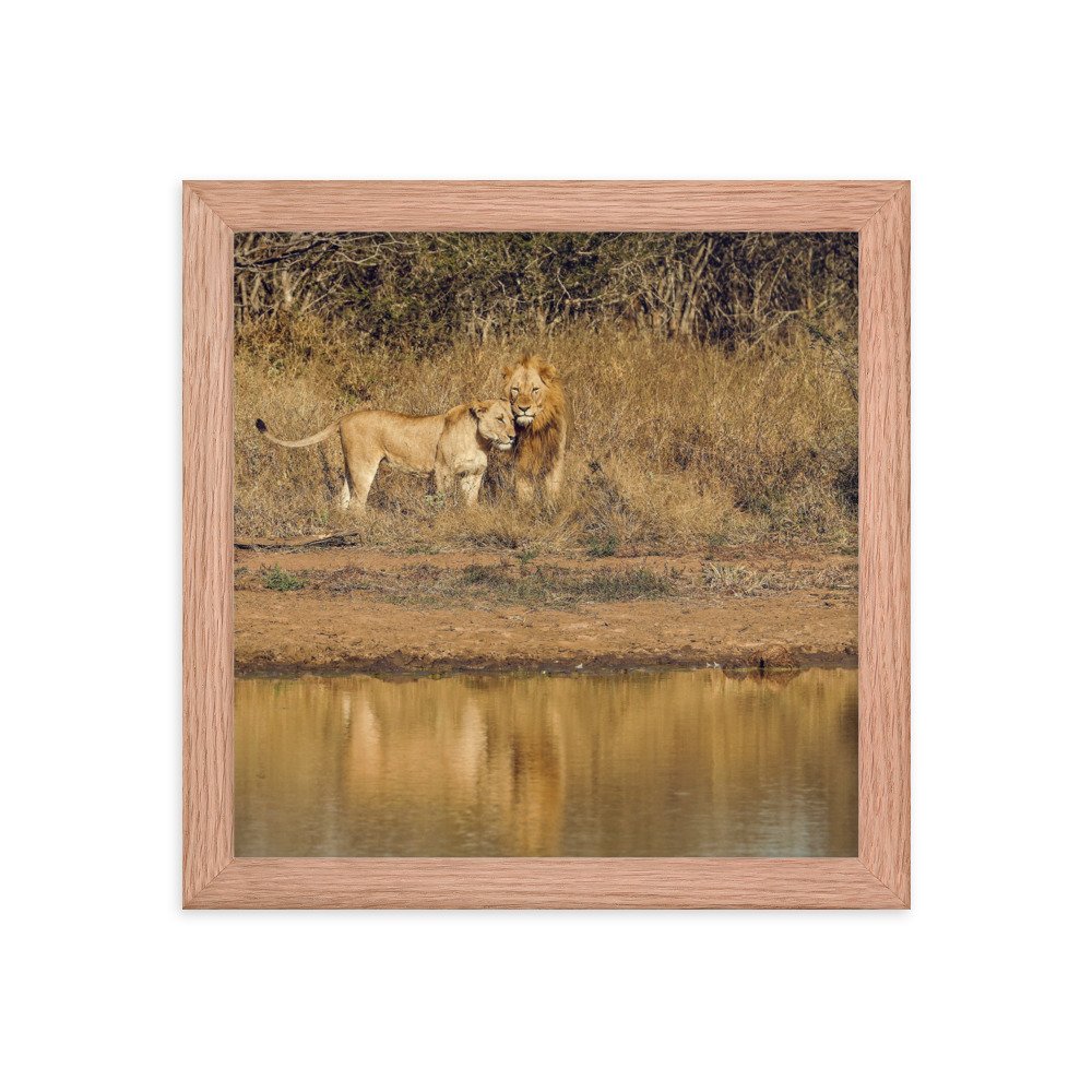enhanced-matte-paper-framed-poster-(in)-red-oak-10x10-transparent-65c0f38c7d59a.jpg