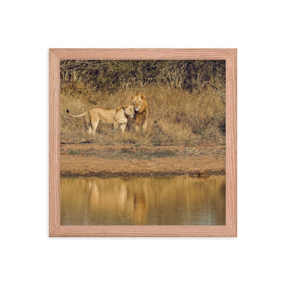 enhanced-matte-paper-framed-poster-(in)-red-oak-12x12-transparent-65c0f38c7d5f9.jpg