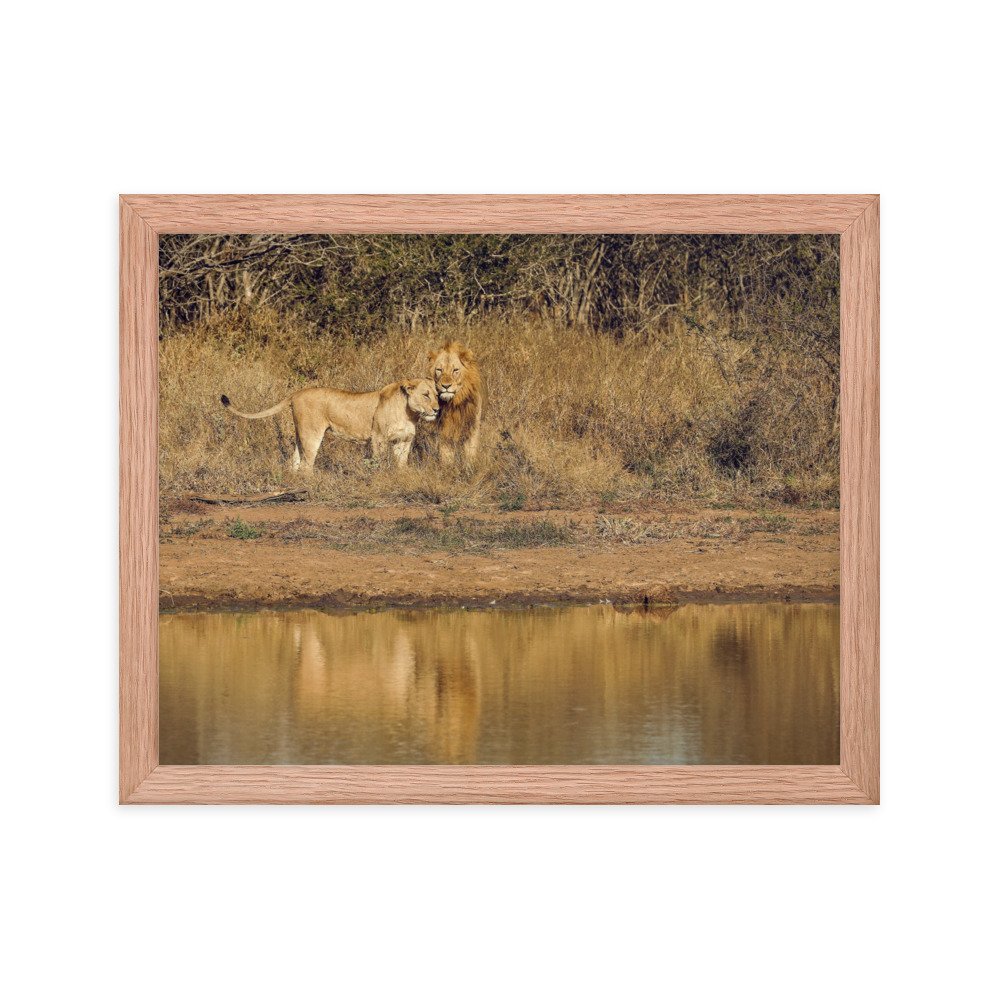 enhanced-matte-paper-framed-poster-(in)-red-oak-11x14-transparent-65c0f38c7d65a.jpg