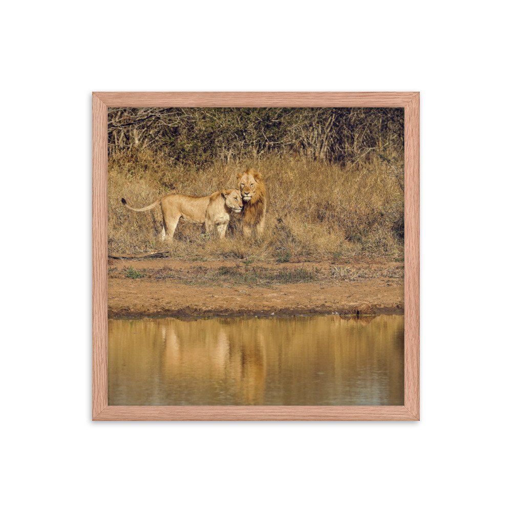 enhanced-matte-paper-framed-poster-(in)-red-oak-16x16-transparent-65c0f38c7d83b.jpg
