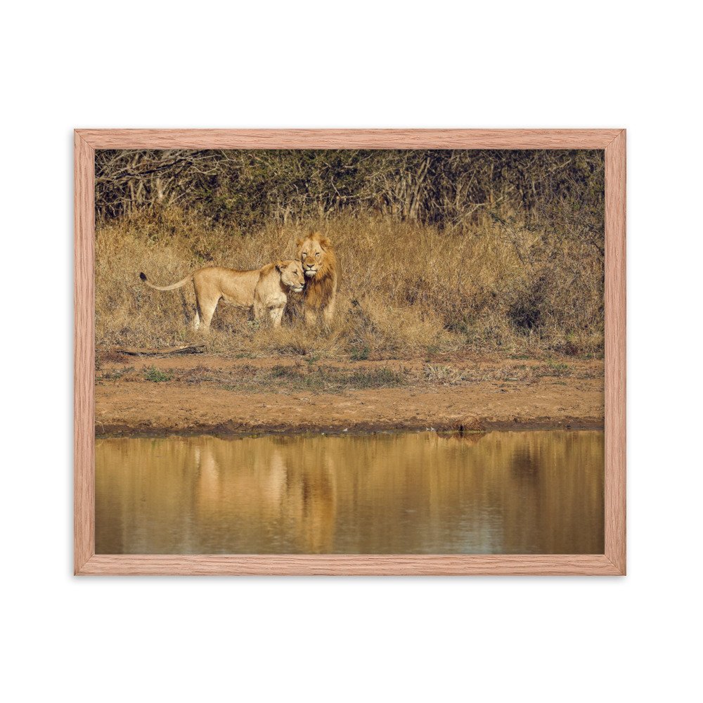 enhanced-matte-paper-framed-poster-(in)-red-oak-16x20-transparent-65c0f38c7d89e.jpg
