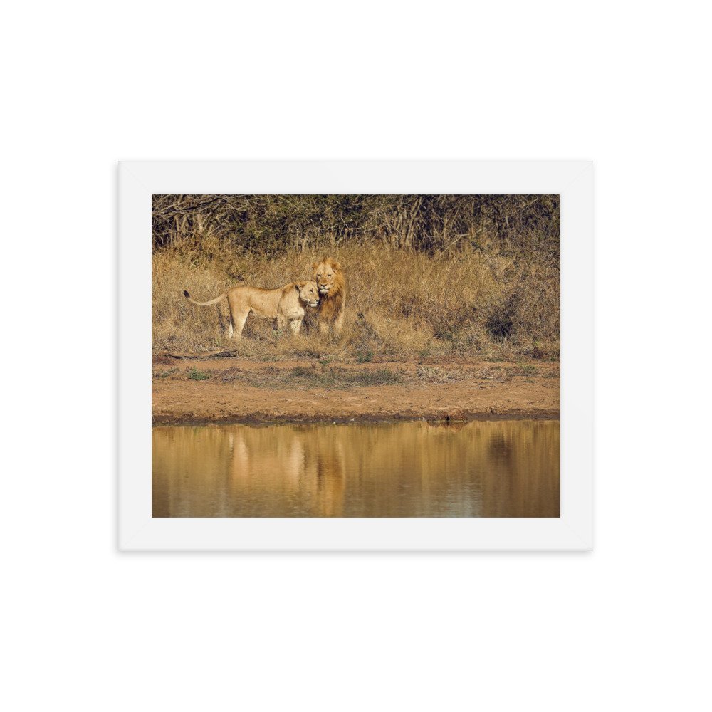 enhanced-matte-paper-framed-poster-(in)-white-8x10-transparent-65c0f38c7d902.jpg