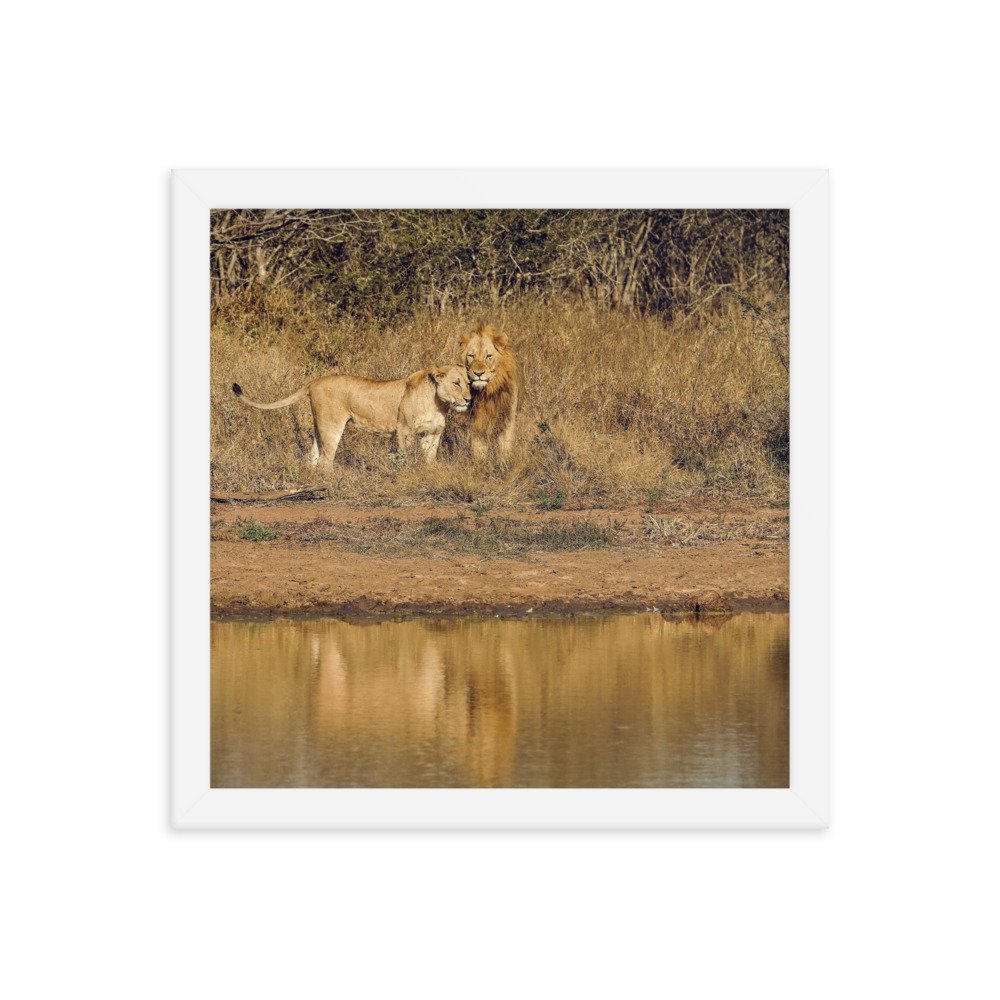 enhanced-matte-paper-framed-poster-(in)-white-12x12-transparent-65c0f38c7d9c7.jpg