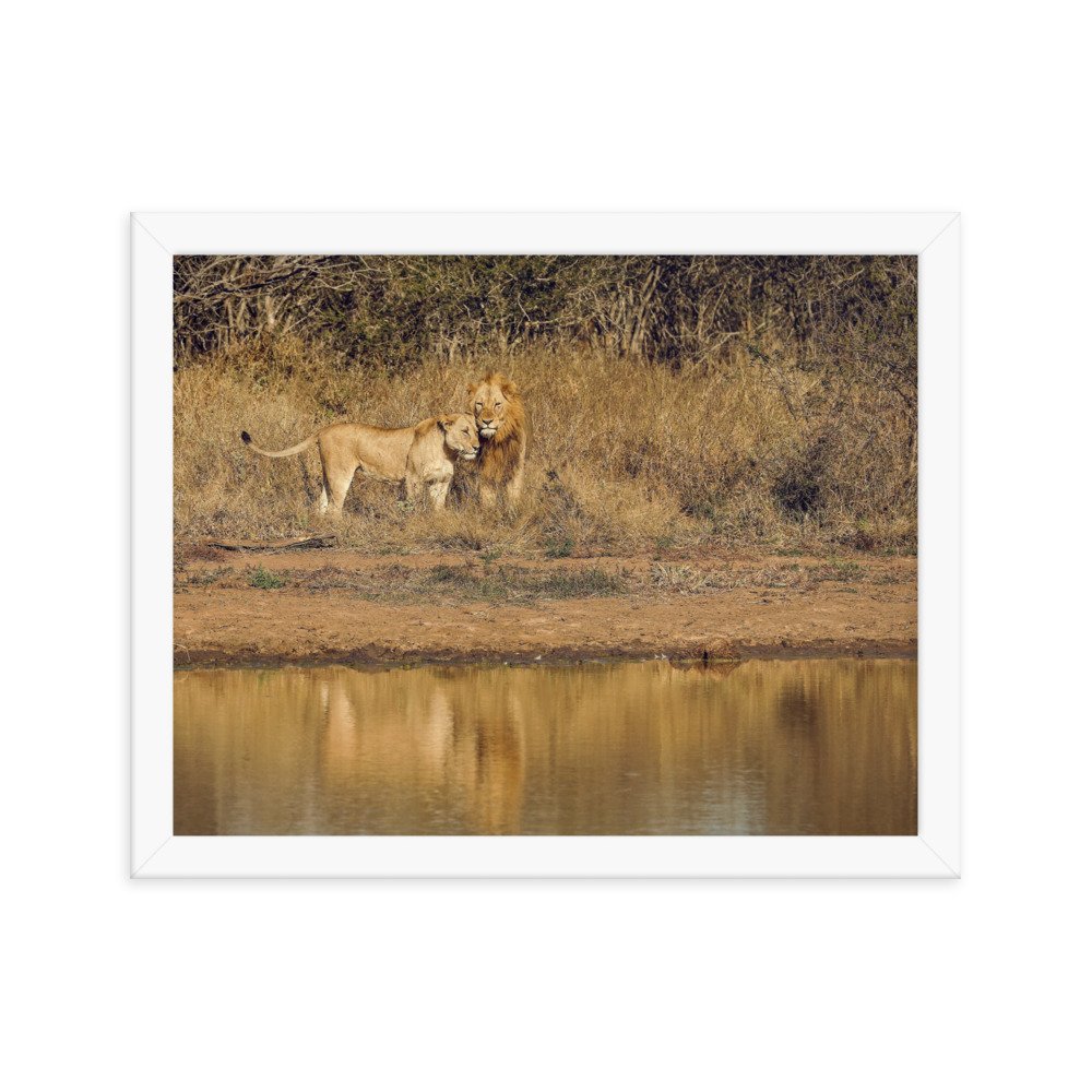 enhanced-matte-paper-framed-poster-(in)-white-11x14-transparent-65c0f38c7da28.jpg