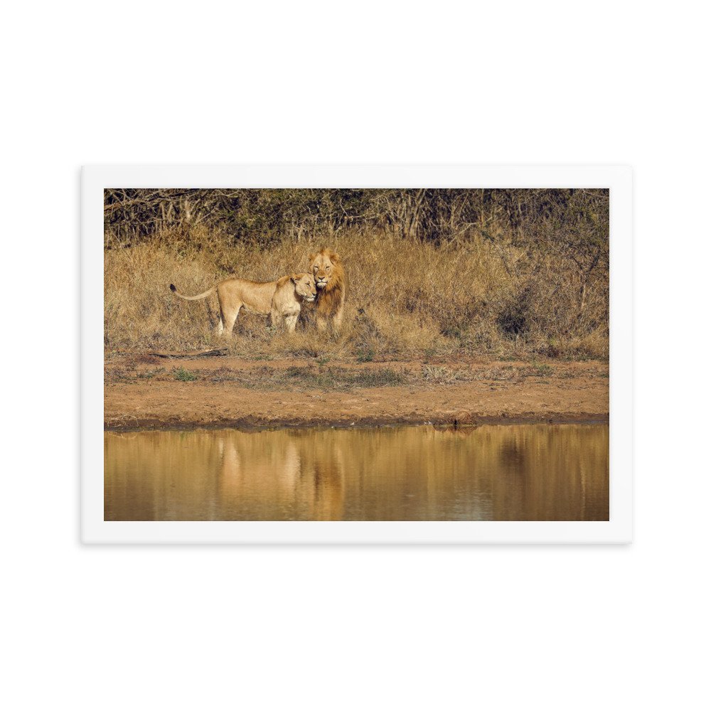 enhanced-matte-paper-framed-poster-(in)-white-12x18-transparent-65c0f38c7dae6.jpg
