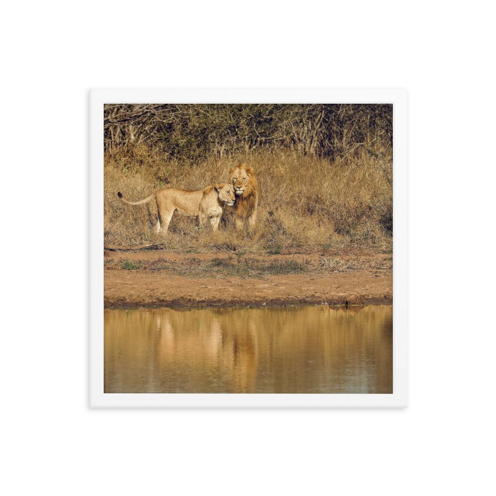enhanced-matte-paper-framed-poster-(in)-white-16x16-transparent-65c0f38c7dbc3.jpg