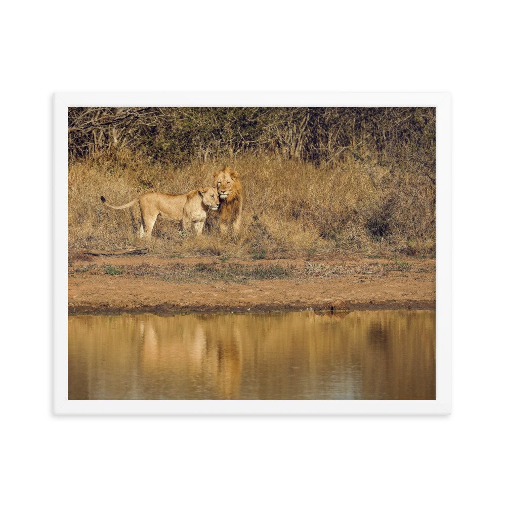 enhanced-matte-paper-framed-poster-(in)-white-16x20-transparent-65c0f38c7dc46.jpg