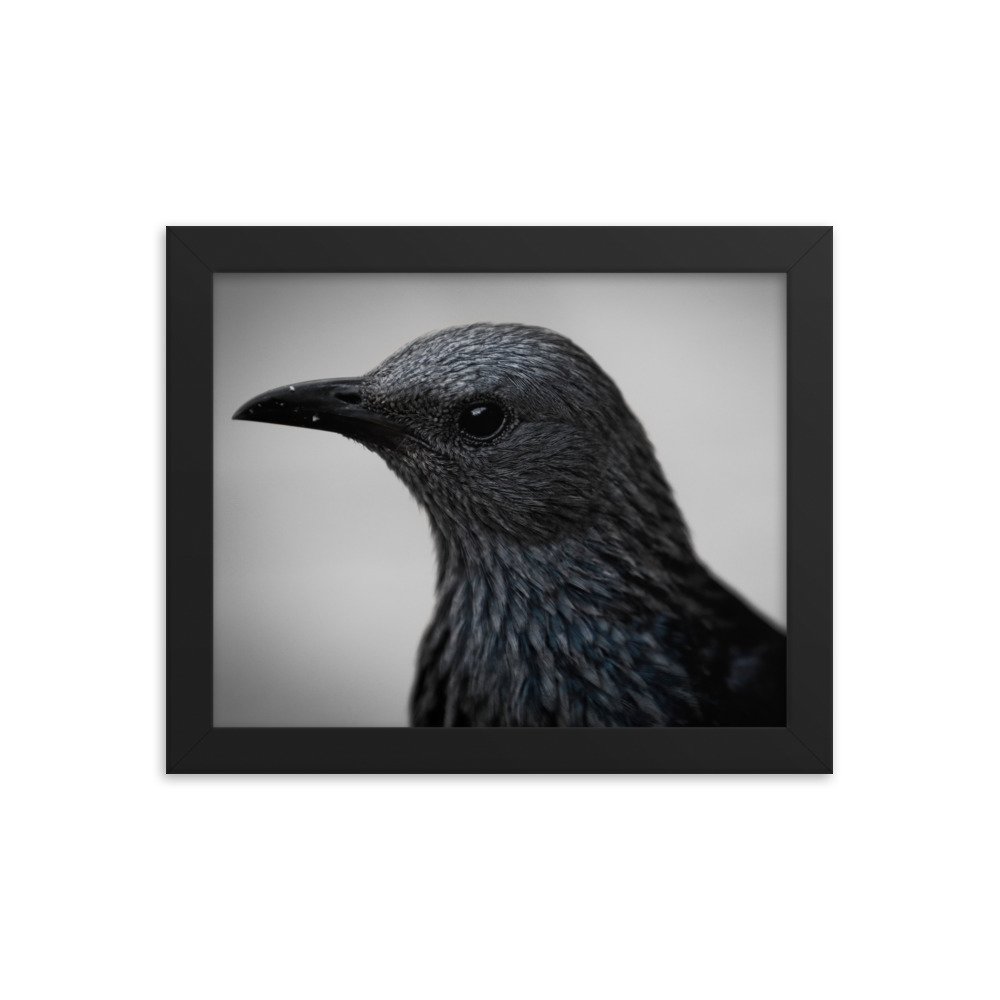 enhanced-matte-paper-framed-poster-(in)-black-8x10-transparent-65c0fbc1e03ef.jpg