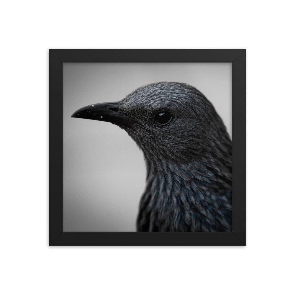 enhanced-matte-paper-framed-poster-(in)-black-10x10-transparent-65c0fbc1e04b9.jpg