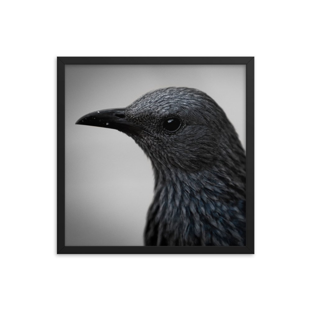 enhanced-matte-paper-framed-poster-(in)-black-18x18-transparent-65c0fbc1e0b80.jpg