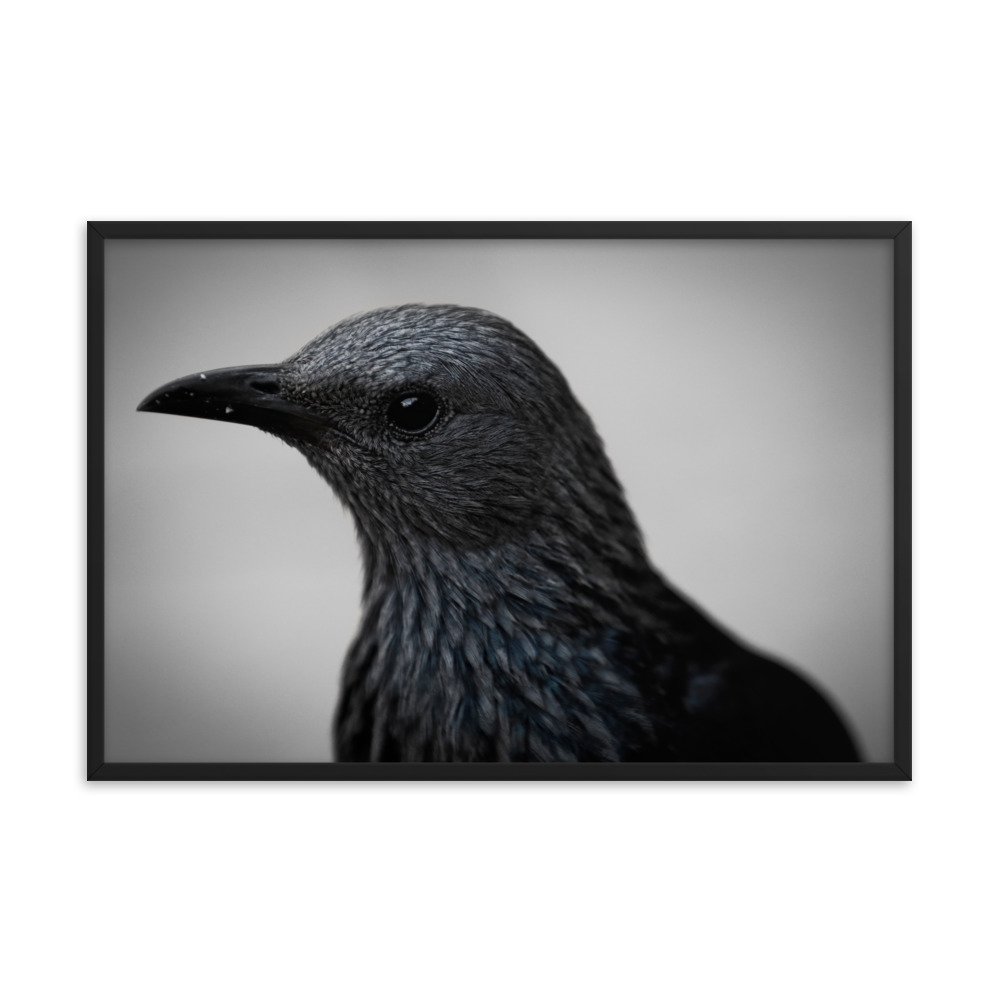 enhanced-matte-paper-framed-poster-(in)-black-24x36-transparent-65c0fbc1e0c6d.jpg