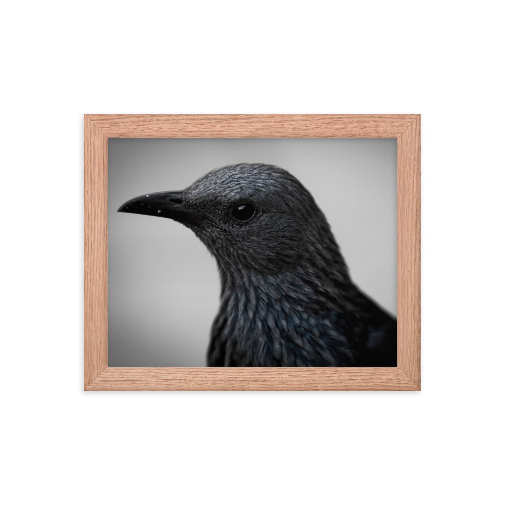 enhanced-matte-paper-framed-poster-(in)-red-oak-8x10-transparent-65c0fbc1e0d2d.jpg