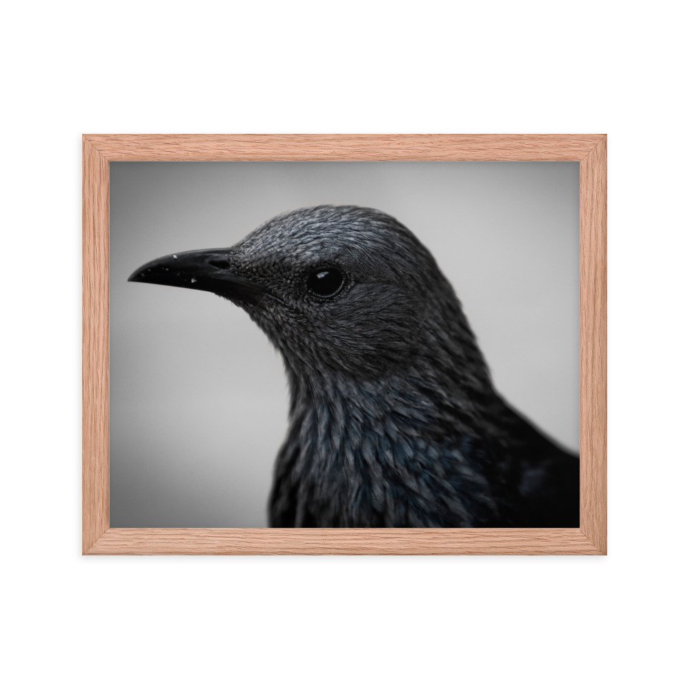enhanced-matte-paper-framed-poster-(in)-red-oak-11x14-transparent-65c0fbc1e0f18.jpg