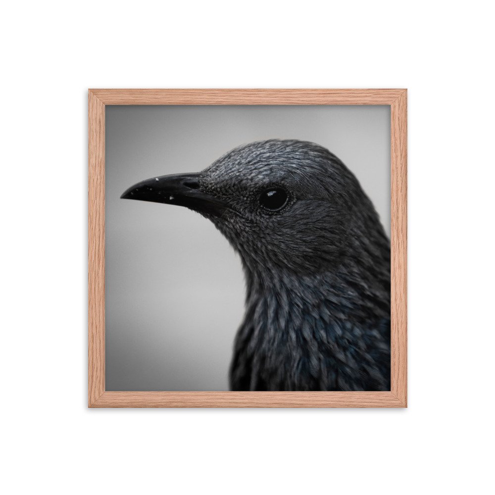 enhanced-matte-paper-framed-poster-(in)-red-oak-14x14-transparent-65c0fbc1e11b0.jpg