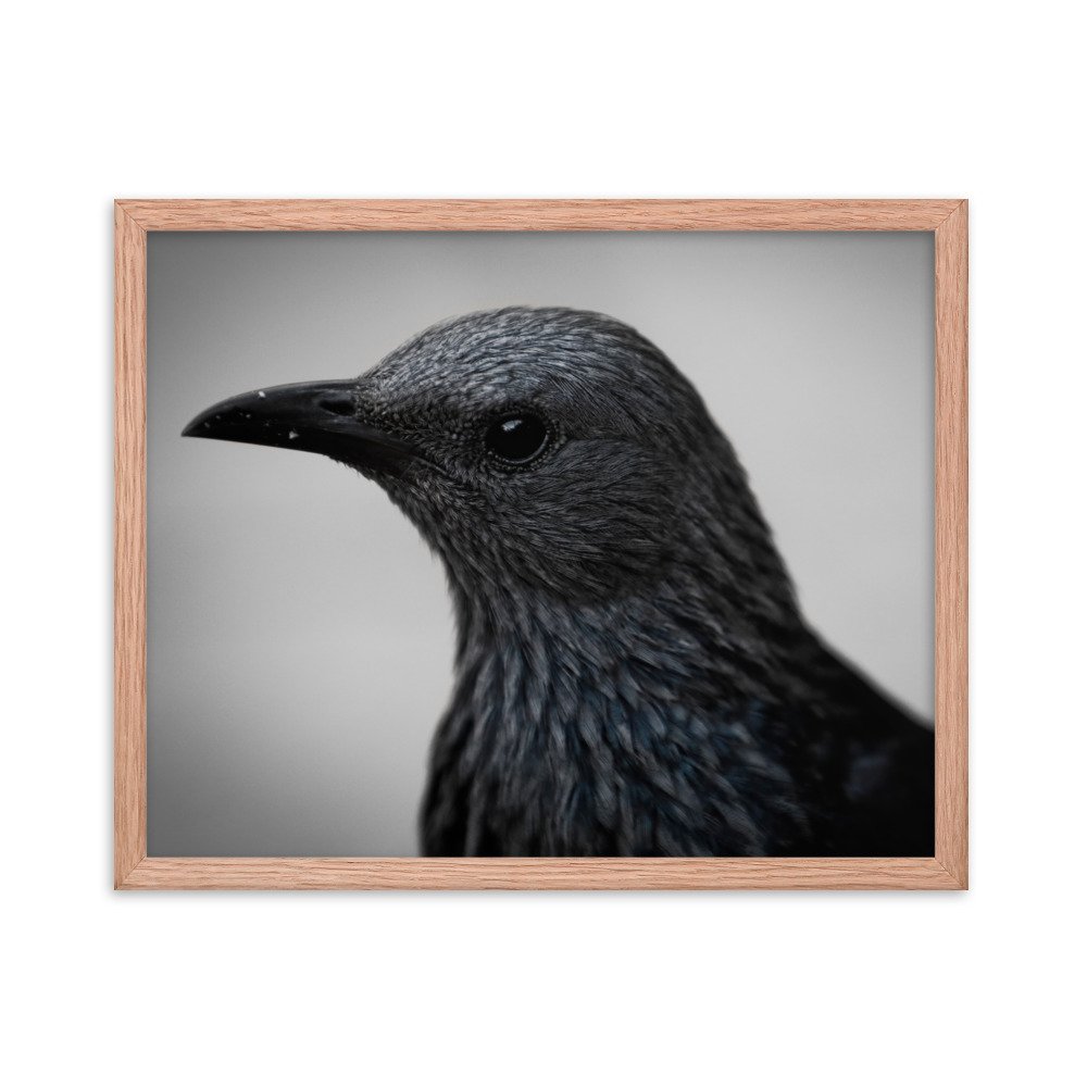 enhanced-matte-paper-framed-poster-(in)-red-oak-16x20-transparent-65c0fbc1e134e.jpg