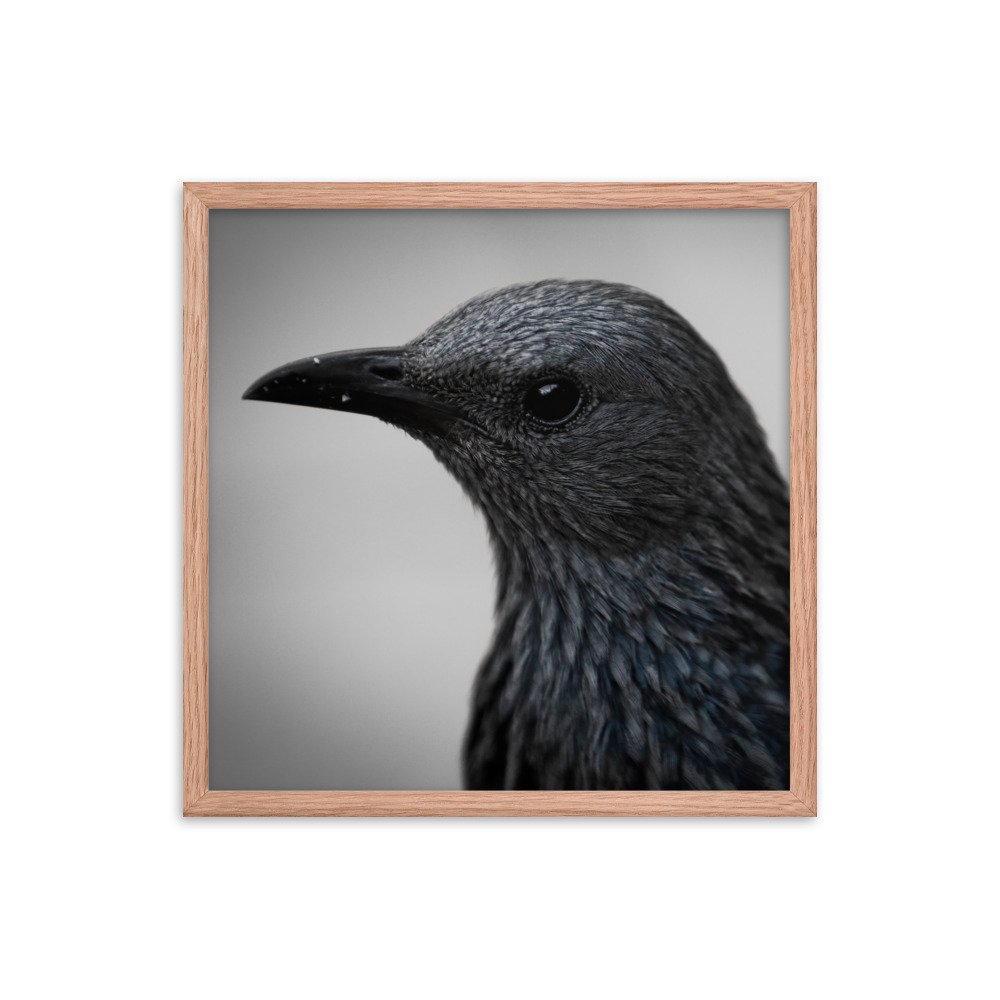 enhanced-matte-paper-framed-poster-(in)-red-oak-18x18-transparent-65c0fbc1e1400.jpg