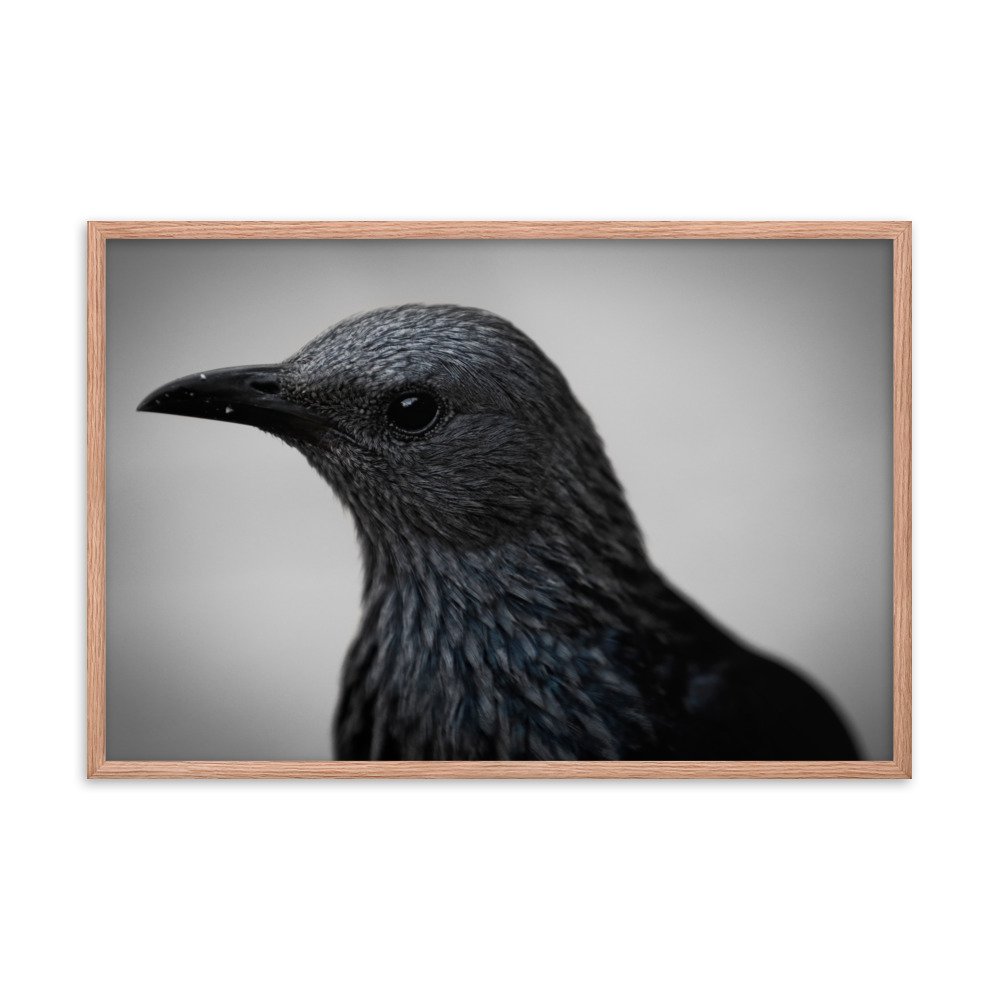 enhanced-matte-paper-framed-poster-(in)-red-oak-24x36-transparent-65c0fbc1e15b9.jpg