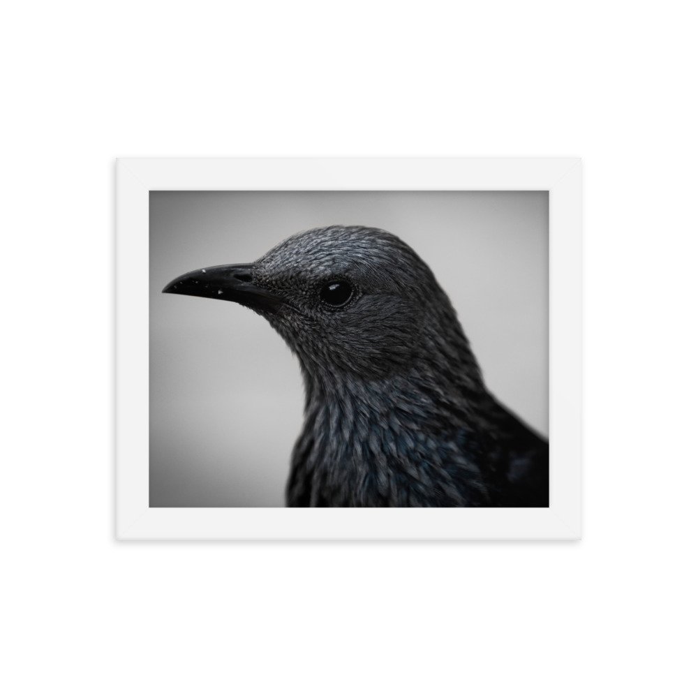 enhanced-matte-paper-framed-poster-(in)-white-8x10-transparent-65c0fbc1e1689.jpg
