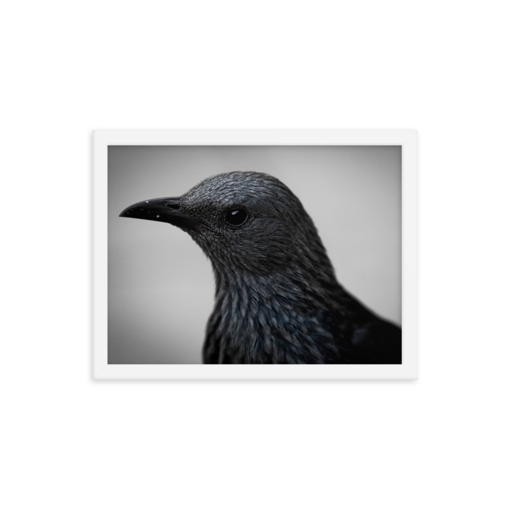 enhanced-matte-paper-framed-poster-(in)-white-12x16-transparent-65c0fbc1e1a3e.jpg