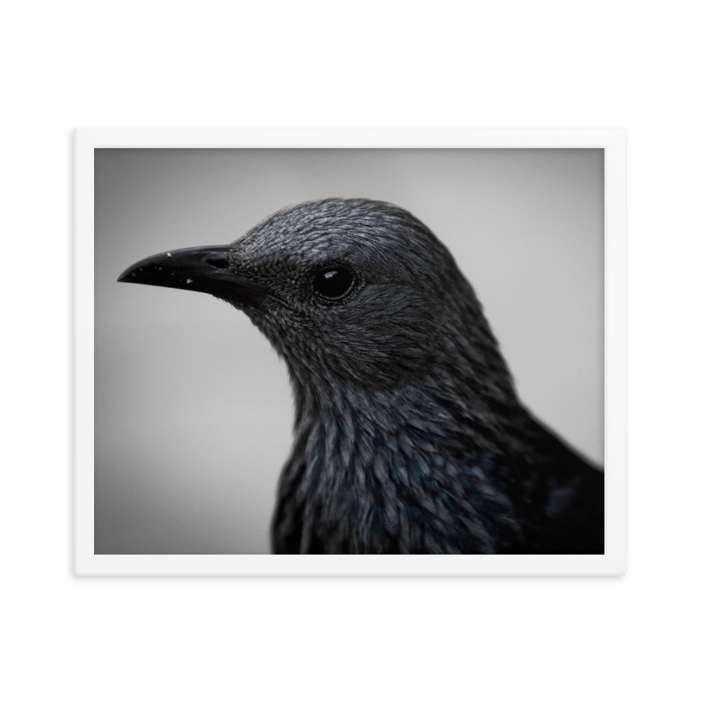 enhanced-matte-paper-framed-poster-(in)-white-16x20-transparent-65c0fbc1e1cf4.jpg