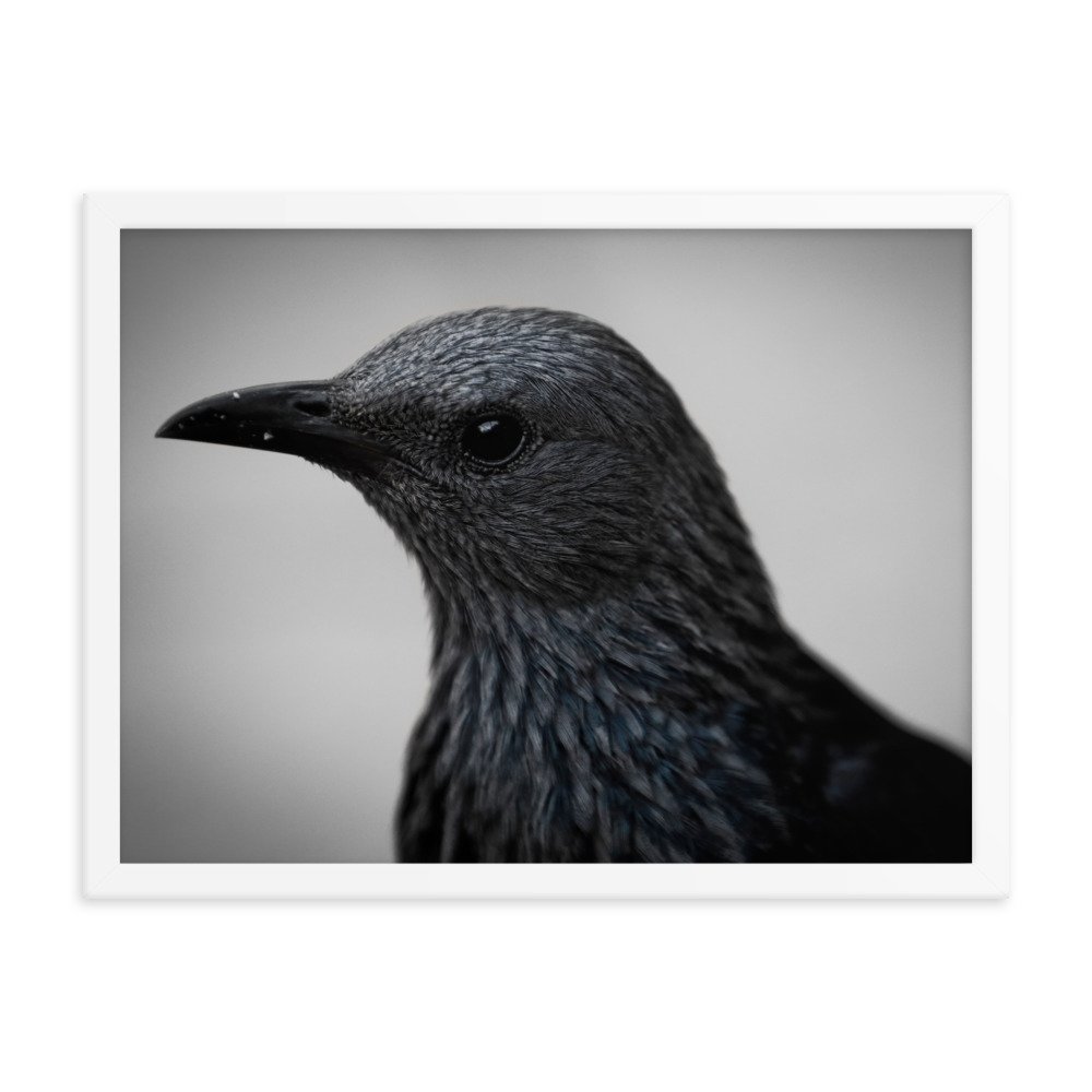 enhanced-matte-paper-framed-poster-(in)-white-18x24-transparent-65c0fbc1e1e65.jpg