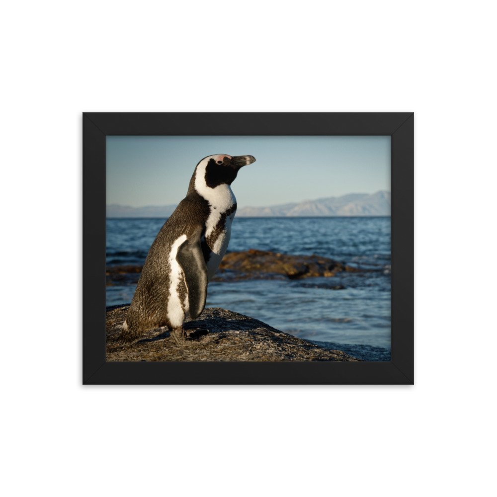 enhanced-matte-paper-framed-poster-(in)-black-8x10-transparent-65c0fbefcfd43.jpg