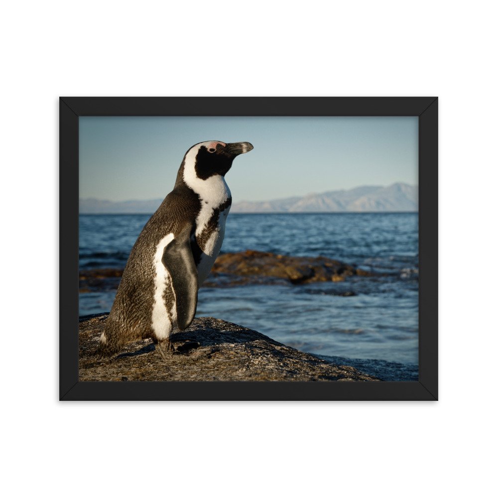 enhanced-matte-paper-framed-poster-(in)-black-11x14-transparent-65c0fbefcffa6.jpg