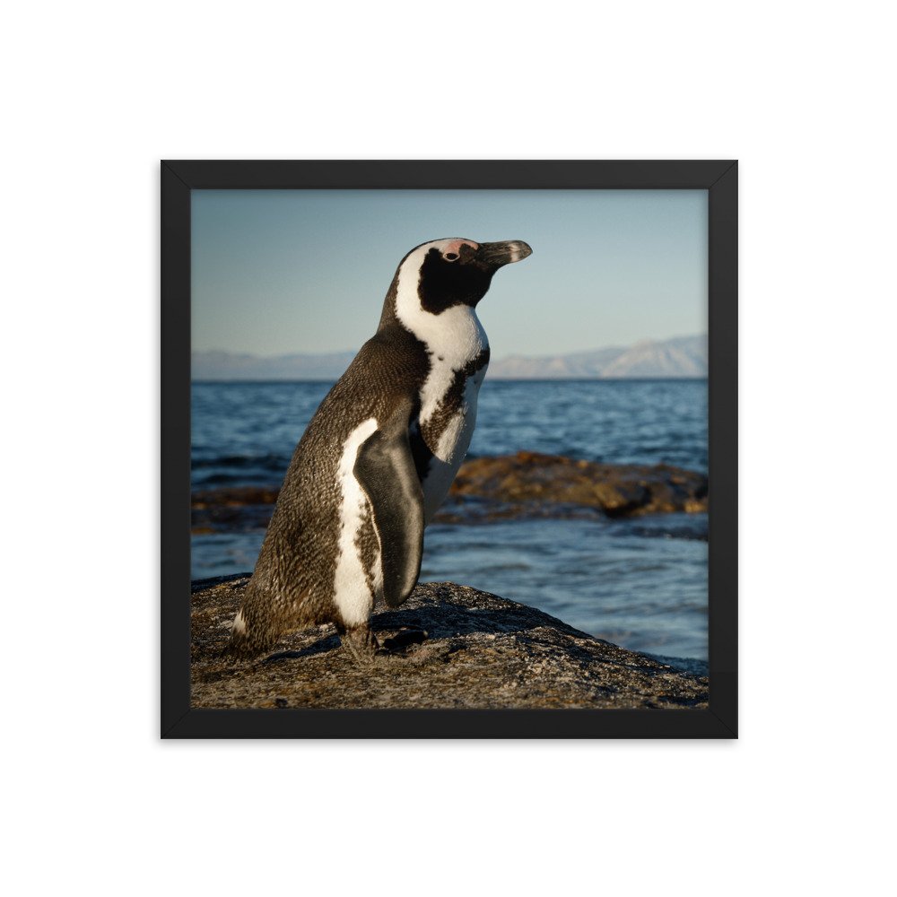 enhanced-matte-paper-framed-poster-(in)-black-14x14-transparent-65c0fbefd01d5.jpg