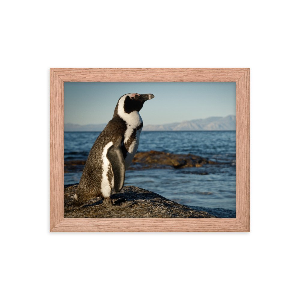 enhanced-matte-paper-framed-poster-(in)-red-oak-8x10-transparent-65c0fbefd05a1.jpg